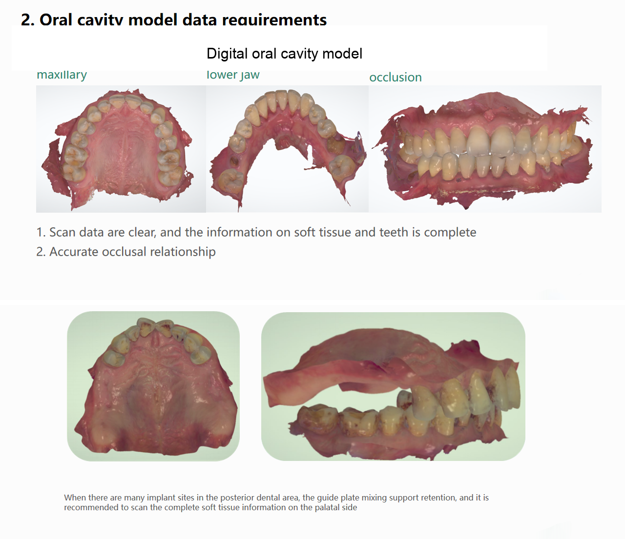 Oral cavity model data requirements reference
