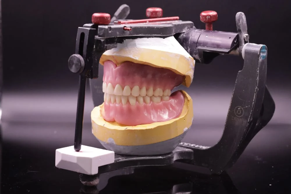 Removables Denture